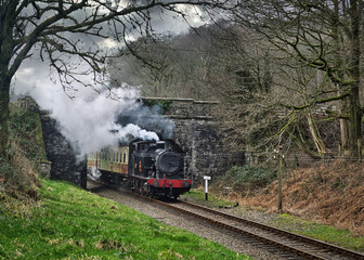 Fototapeta na wymiar Haverthwaite Railway Steam Train Under Bridge