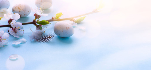 Holiday Easter banner background; Spring tree flowers and Easter eggs on sunny light  wooden background
