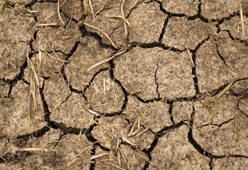 Drought-prone land close-up
