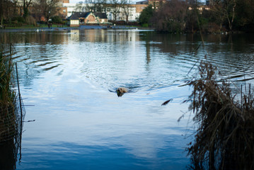  British Scotland England  cityscape