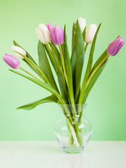 Flowers tulips in a glass vase on a green background.