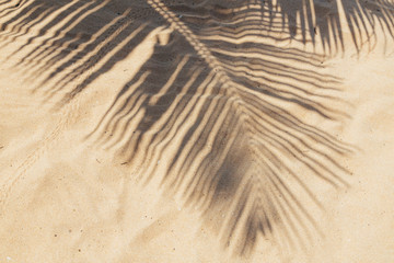 Fototapeta na wymiar Tropical beach sand with shadows of coconut palm tree leaves. Travel and vacations concept background.