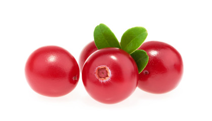 Cranberries isolated on white background