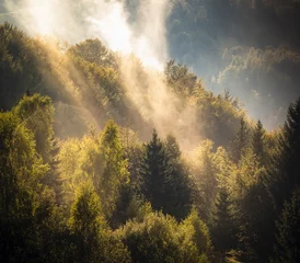 Fotobehang rays of the sun © IoanBalasanu