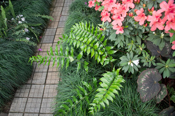 Pathways with green garden  surrounded by tropical plants and flowers. Landscaping in the garden, top view of junction walkway on green grass field and flower garden.
