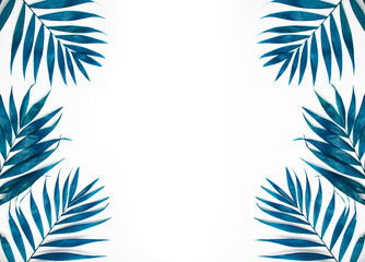 Fototapeta na wymiar Palm leaves border isolated on white. Fresh exotic tree foliage, paradise beach, summer vacation and holiday concept