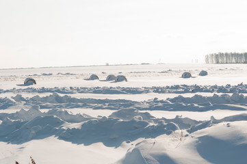 The hay roll is snowy in the meadow in winter