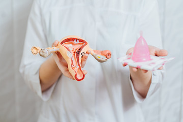 Close up of hands holding anatomical model of uterus with ovaries. Concept photo depicting uterus illness such as cancer as cause of death, organ donation after death of patient