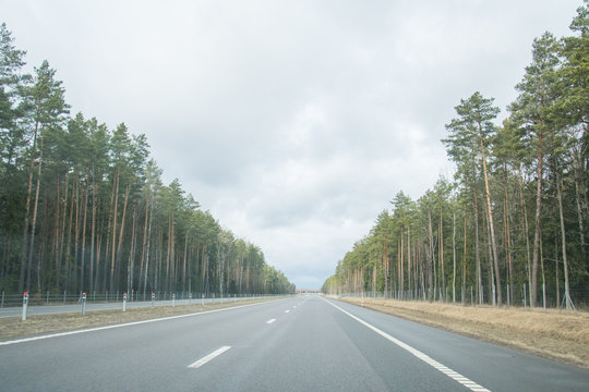 Road in autumn forest