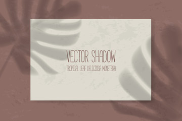 The effect of applying a transparent shadow to the plant leaf. branch, sunlight. Template for design, natural nature. vector mockup