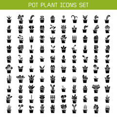 set of pot plant and tree icons vector