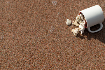 White Corals Collection in a Mug on Red Sand of the Red Sea Coast