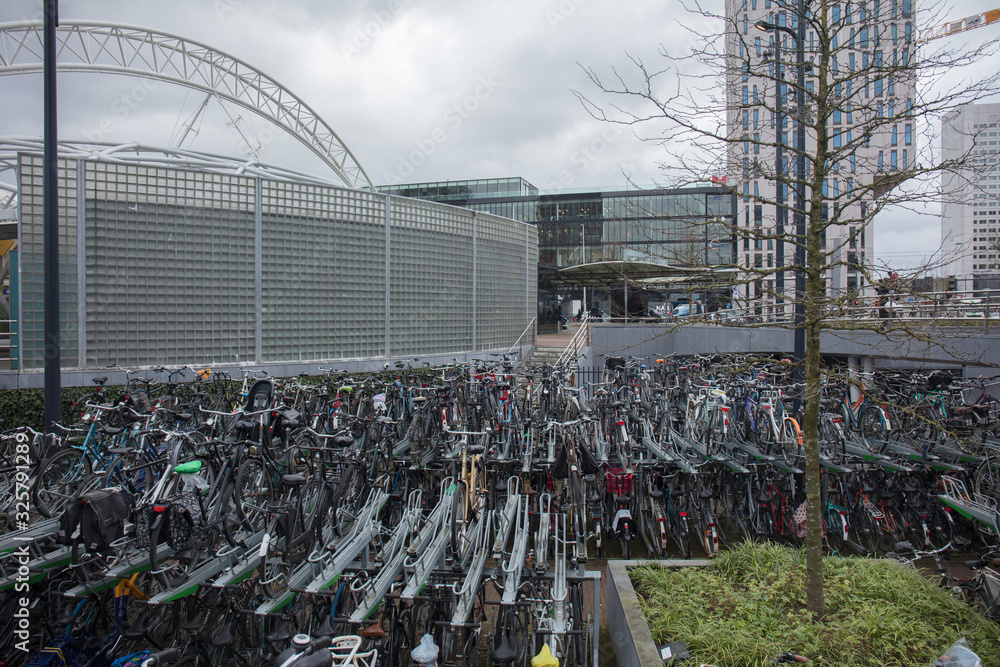 Wall mural bike shelf in Rotterdam Netherlands