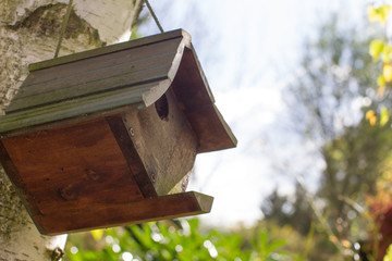 wooden birdhouse hanging on birch tree over sunny autumn foliage, closeup