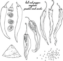 Vector set with hand drawn cayenne pepper. Linear, line art. Hot, spicy , ingredients for cooking. Elements for food design , isolated on white. Pods and slices.