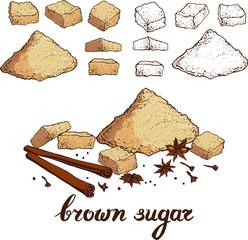 Vector set with hand drawn brown sugar in pieces and powder with cinnamon sticks , stars and clove. Illustration of realistic ingredients for cooking for food design.