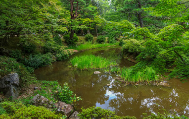 Fototapeta premium Kasuga taishashinen Manyo Botanical Gardens in Nara park during summer time