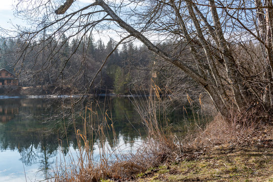 cei lake in trentino winter seasoncei lake in trentino winter season, woodland and sunny