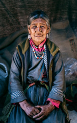 Nomadic old Woman. They live for several months a year in tents, looking for fresh pastures for their goats, from which comes cashmere wool. In Ladakh, Kashmir, India. - 325795001