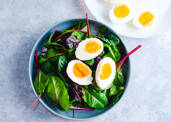 green salad with egg in a blue bowl on a blue background