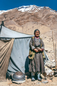 Nomadic old Woman. They live for several months a year in tents, looking for fresh pastures for their goats, from which comes cashmere wool. In Ladakh, Kashmir, India.