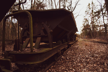 Fototapeta na wymiar Old rusty wagons in a forest, abandoned, narrow-gauge railway, abandoned, warm shaddows, mine carts