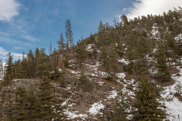 Vertical rocky cliff face with snow and tall evergreen trees on clear day
