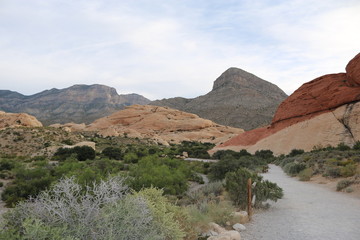 View of the red rock canyon in bright colors from the des