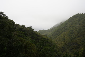 Aussicht von der Levada das 25 Fontes