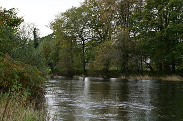 Lake landscape