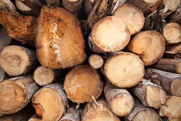Closeup of stacked firewood
