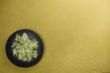 Sliced iceberg lettuce in plate. Copy space.