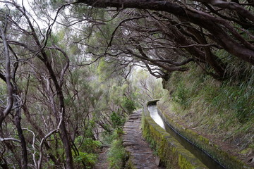 Levada das 25 Fontes