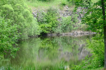 Flora und Fauna in Marktredwitz