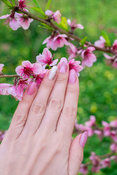 art, background, beautiful, beauty, bloom, blooming almond, blossom, body, bouquet, bright, care, close-up, closeup, color, cosmetics, design, elegance, fashion, female, finger, fingernail, floral, fl