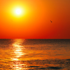 Bright sunrise over the sea. The concept is travel.