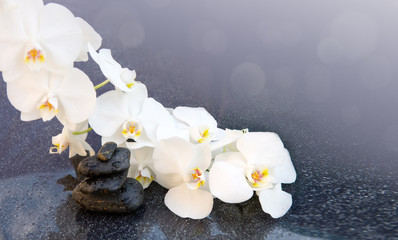 Naklejka na ściany i meble White orchids flowers and spa stones . Spa background.