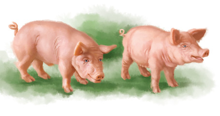 2 507 Farm Grunt Wall Murals Canvas Prints Stickers Wallsheaven