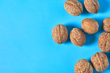 Scattered whole ripe walnuts on blue background. Copy space. Top view
