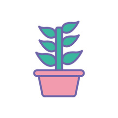 Isolated plant inside pot line and fill style icon vector design