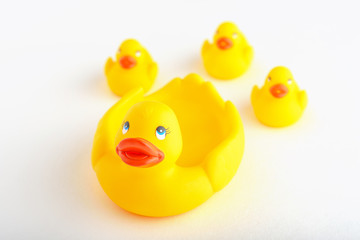 family of yellow toy ducklings on white background