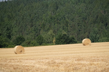 Marktredwitz