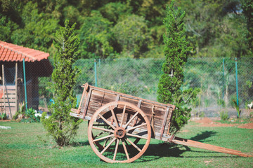 Fototapeta na wymiar wooden cart on the farm