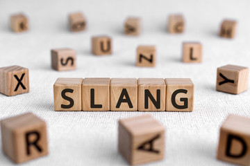 Slang - words from wooden blocks with letters, a type of language slang concept, white background