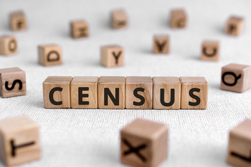 Census - words from wooden blocks with letters, official count or survey of a population, census concept, white background
