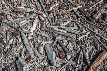 fondo de maderas hojas y piedras 