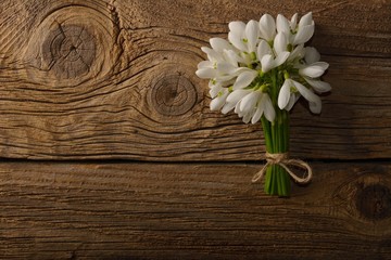 Snowdrop flowers on wooden background