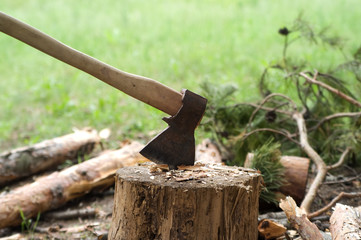 Ax in stump on clearing in pine wood