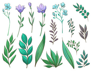 Fototapeta na wymiar Set of plants and flowers. Hand drawn illustration isolated on white background
