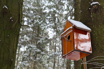 Wooden bird feeder on a tree in the winter forest. Wooden bird house